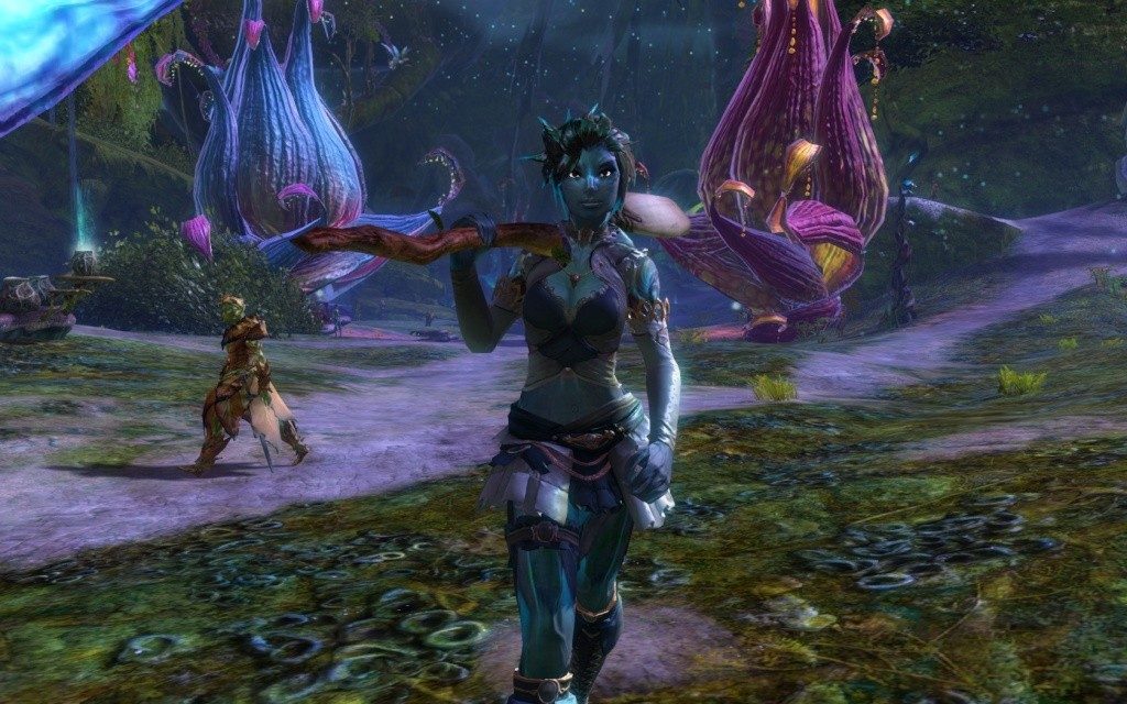 GW2 – Races