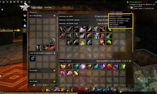 GW2 – Astuces de jeu