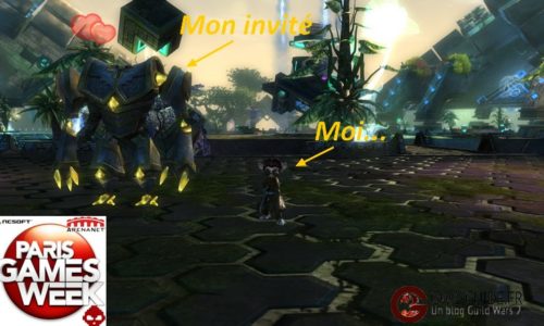 GW2 – Le bal des débutants – Soirée GW2