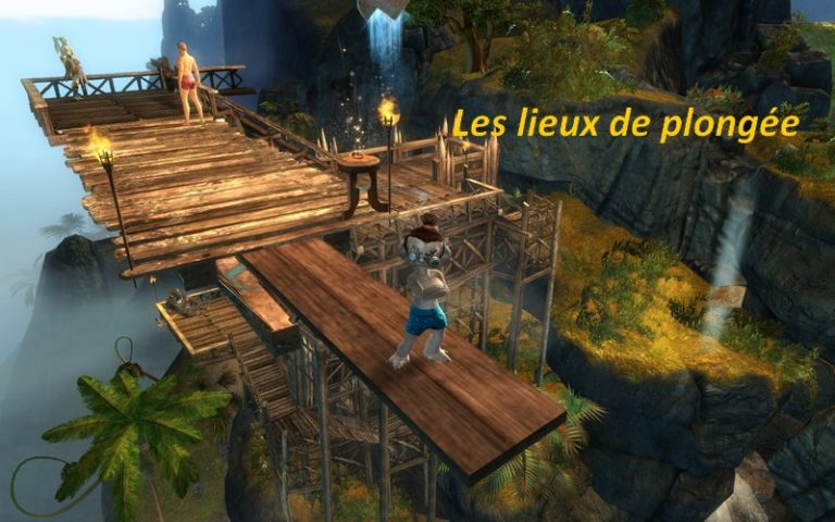 GW2 – Activité : Sauts de plongée