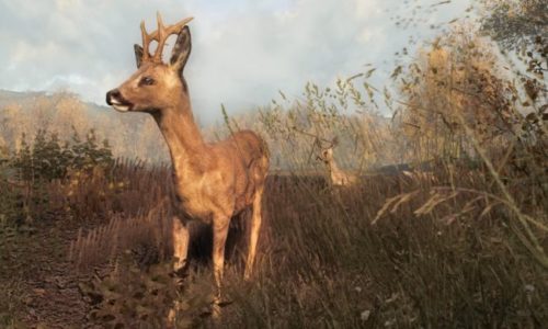 The Hunter : aperçu du jeu