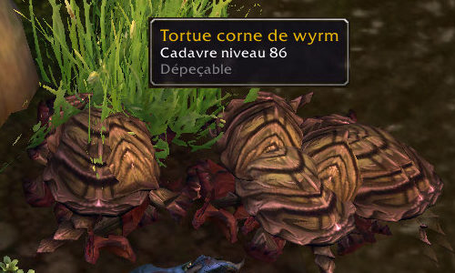 WoW – Guide métier : dépeçage