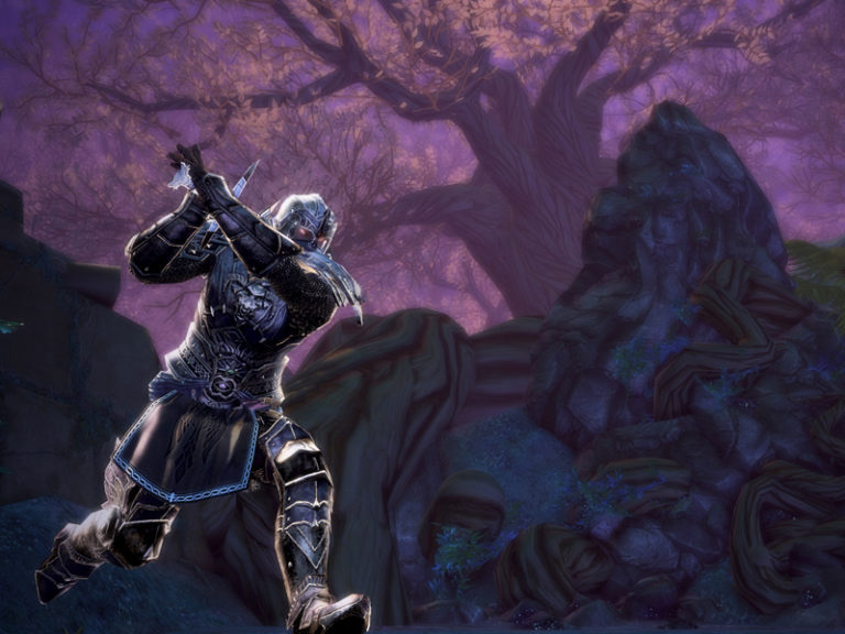 Neverwinter – Fury of the Feywild : nouvelle page