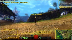 Guild Wars 2 - Interface 1