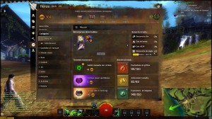 Guild Wars 2 - Interface 12