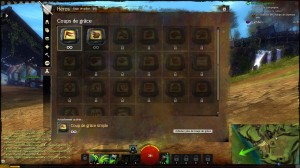 Guild Wars 2 - Interface 13