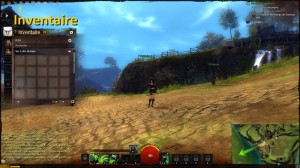 Guild Wars 2 - Interface 14