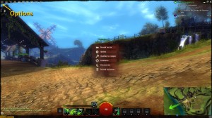 Guild Wars 2 - Interface 2