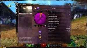 Guild Wars 2 - Interface 26