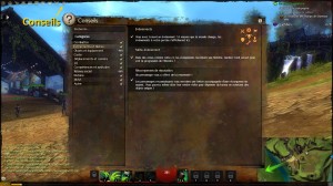 Guild Wars 2 - Interface 27