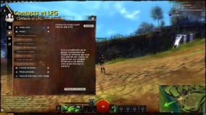 Guild Wars 2 - Interface 4