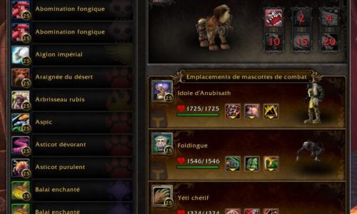 WoW – Mascotte : Bernard