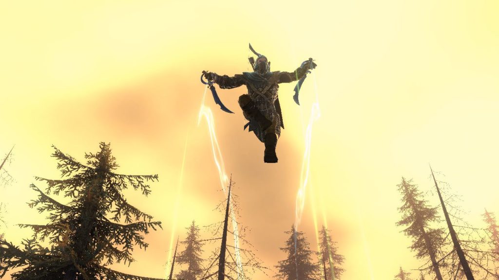 Neverwinter – Shadowmantle & Rôdeur Archer