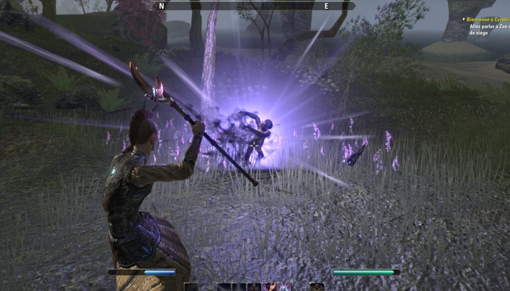 ESO – Bosmers (Elfes des Bois)