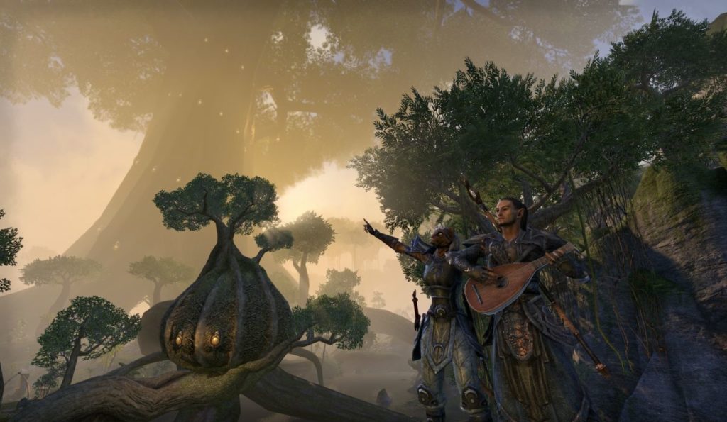 ESO – AMA : l&rsquo;artisanat