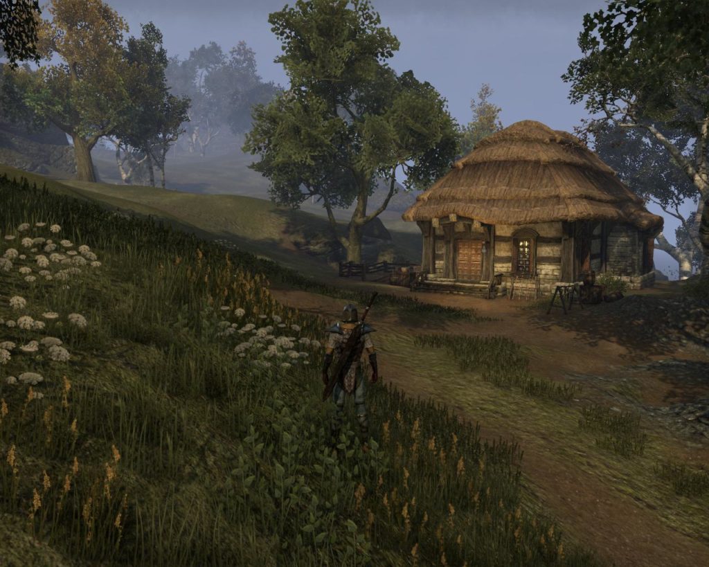 ESO – Bêta – Le JcE dans Cyrodiil