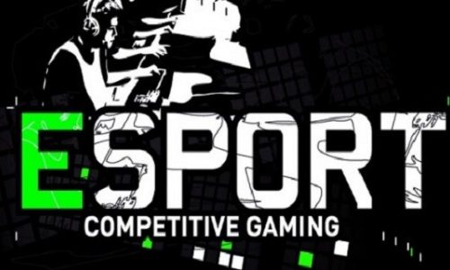 L&rsquo;eSport : un pari risqué ?