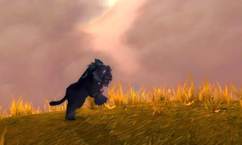 WoW – Choix de corps à corps en JcJ : le druide farouche