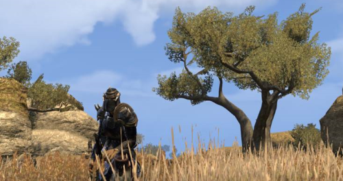 ESO – Gazette du sergent instructeur #3