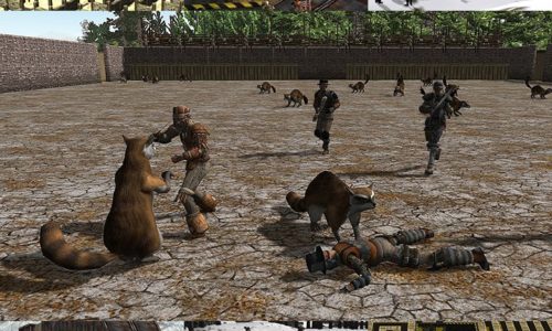 Ce week-end : chevalerie ou simulation militaire ?