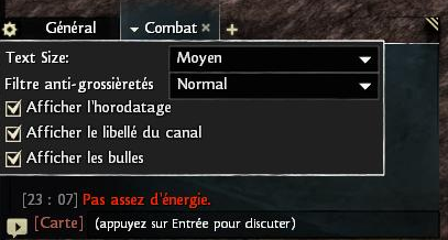 GW2 – Réglages du canal de discussion