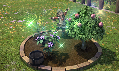FFXIV – Le jardinage : les graines