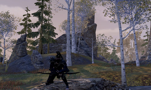 ESO – Gazette du sergent instructeur #8