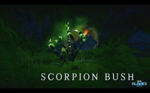 Scorpion Bush