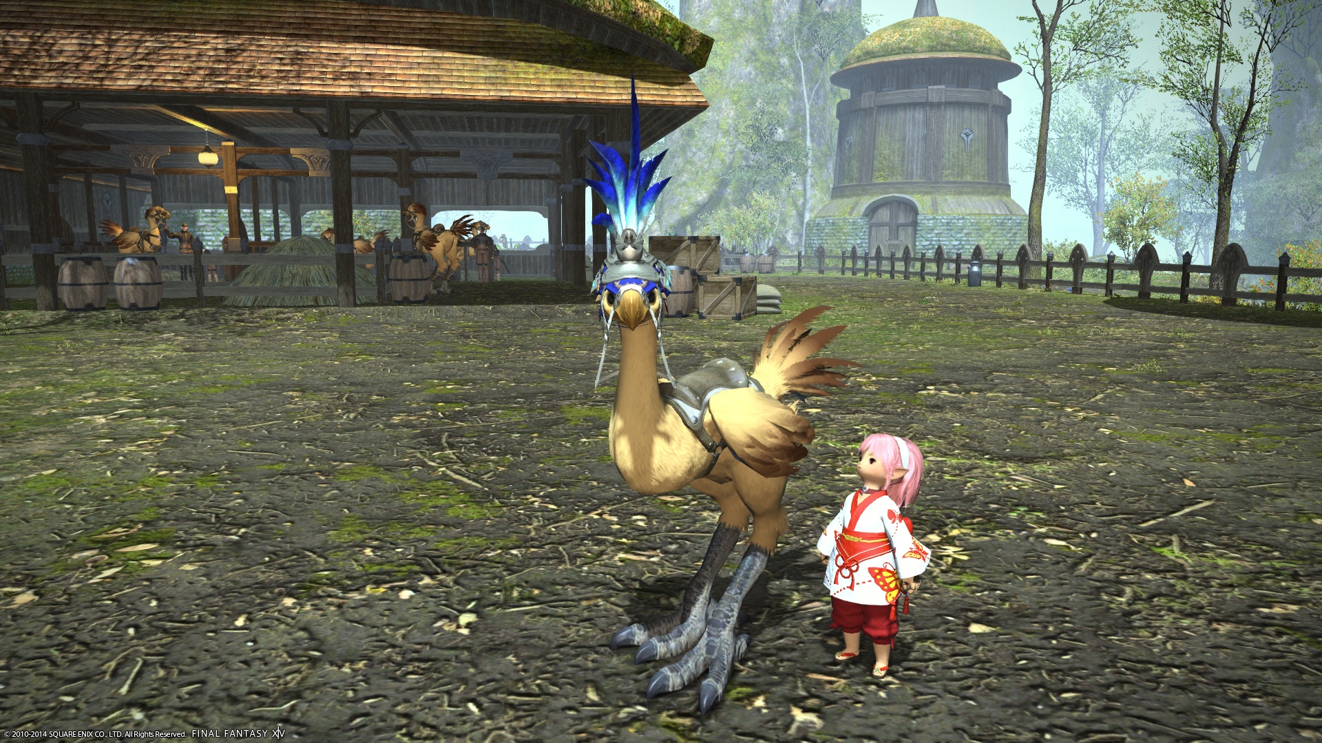 Castaway chocobo chick