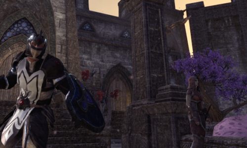 ESO – Gazette du sergent instructeur #10