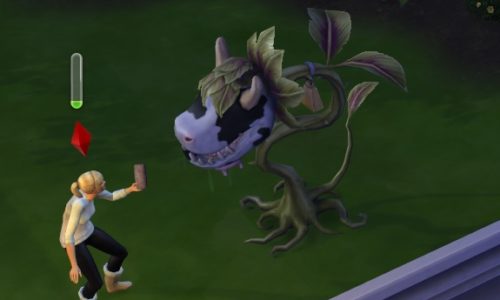 Les Sims 4 – Avoir une plante Vache