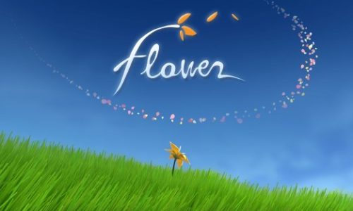 Flower – Aperçu