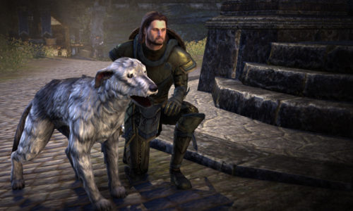 ESO – Guide des familiers