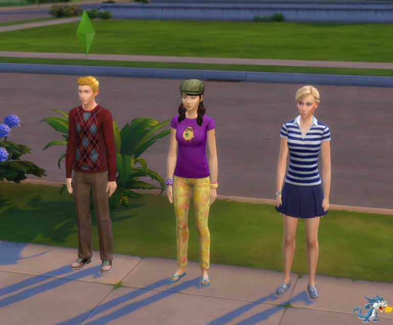 Les Sims 4 : Willow Creek : La Famille Meilleurs amis pour la vie !