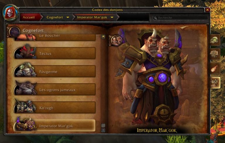 WoW – Tout Cognefort en LFR !