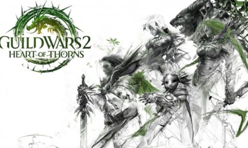 GW2 – Aperçu, avis et évolution