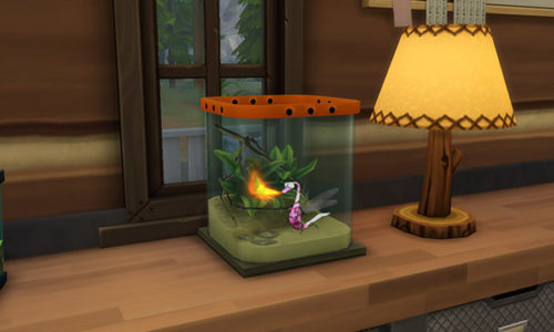 Les Sims 4 – Collection d&rsquo;insectes à Granite Falls