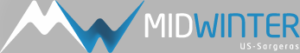 WoW - MidWinter Logo - Gris