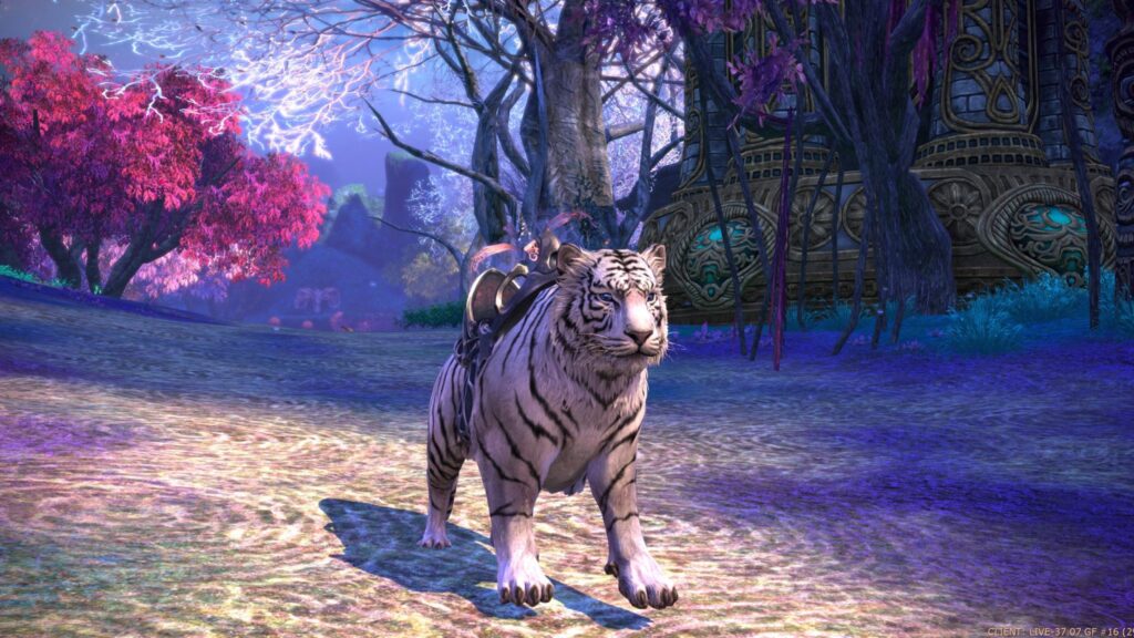 TERA – La Tempétueuse, deux donjons et une monture gratuite !