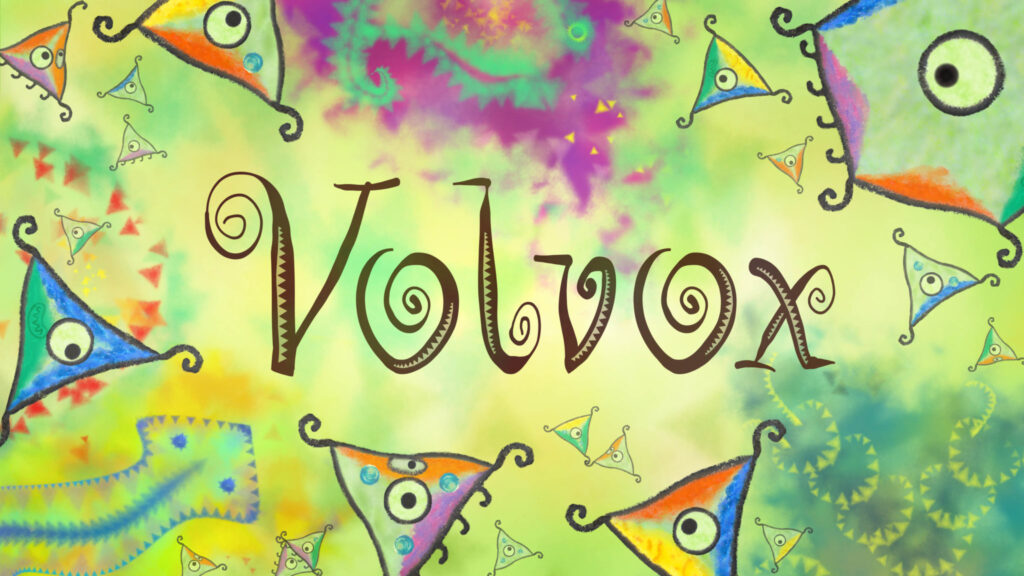 Volvox – Aperçu d&rsquo;un ingénieux jeu de puzzle