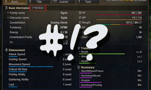 Black Desert Online –  Les Caractéristiques
