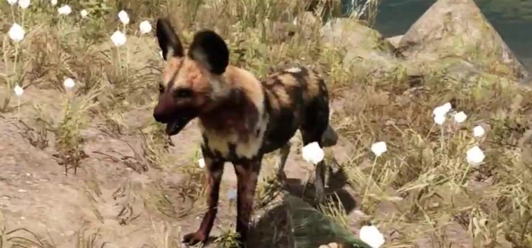 Far Cry Primal – Liste des animaux