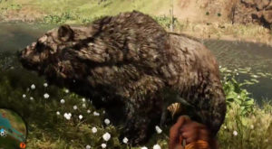 Far_Cry_Primal_Animals_OursCaverne