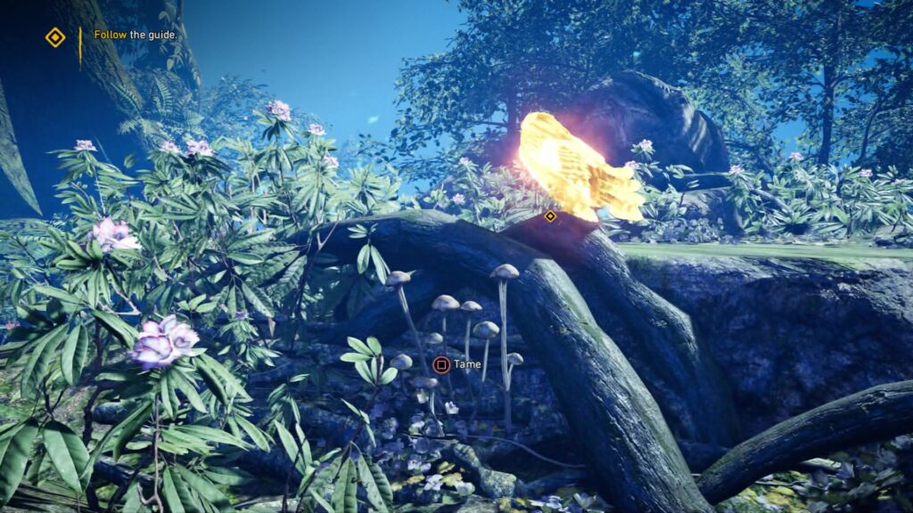 Far Cry Primal – Comment adopter un loup blanc