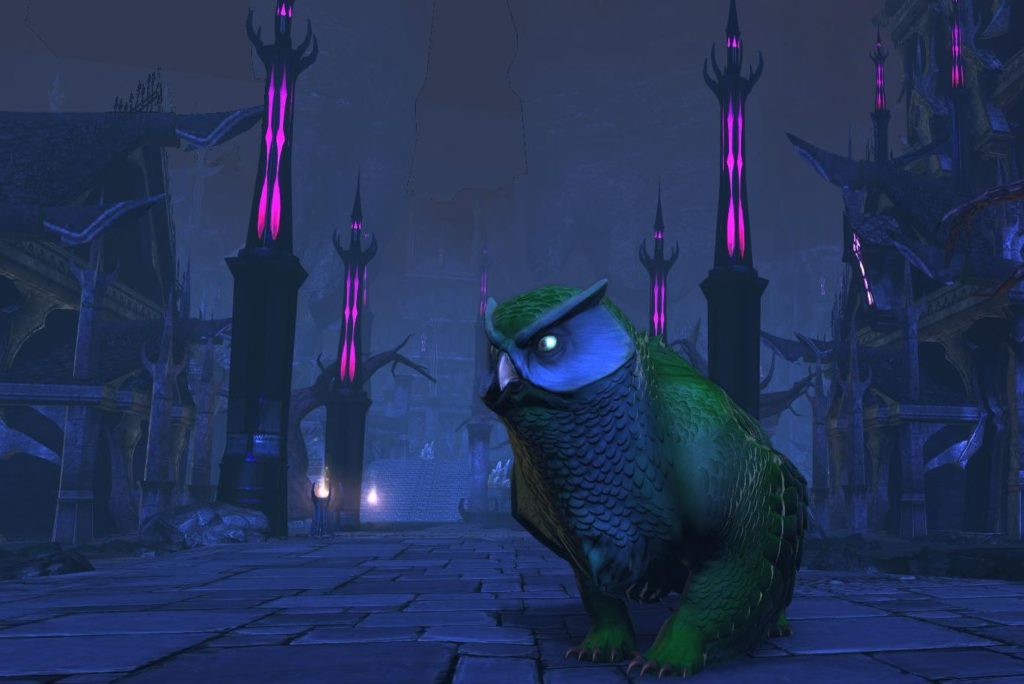 Neverwinter – Récupérez votre monture Ours-Hibou vert (Xbox One)