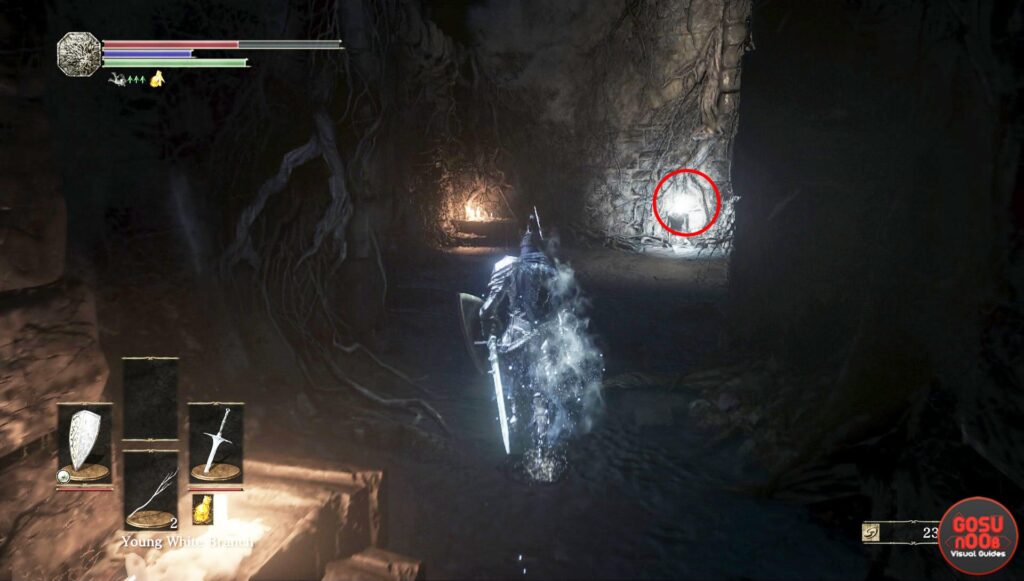 Dark Souls III – Emplacements des cendres