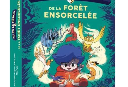 Larousse Jeunesse – Tu es le héros de la forêt ensorcelée