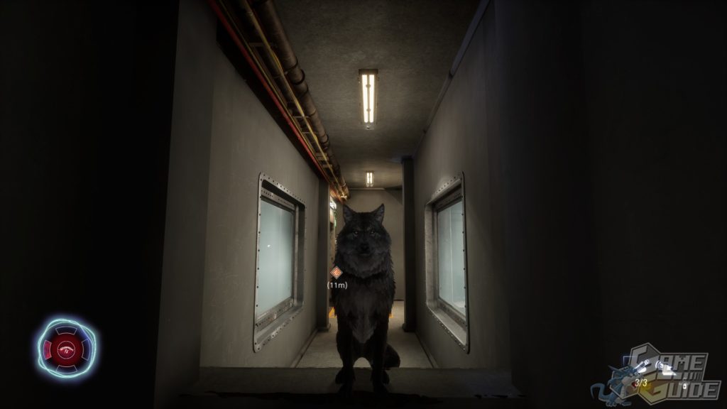 Werewolf : The Apocalypse – Earthblood – Miaou ?