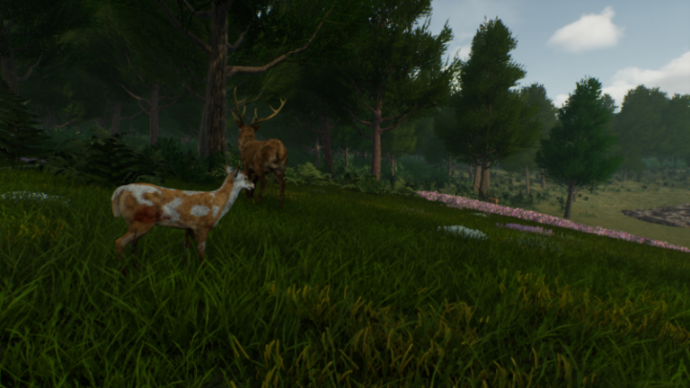 Deer Journey – Dans la peau de Bambi