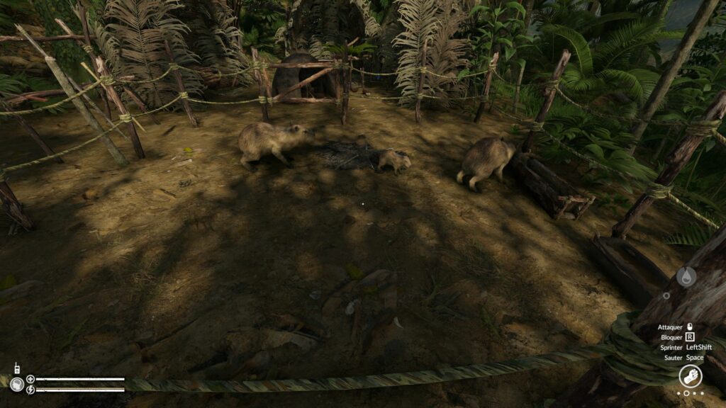 Green Hell – De nouveaux copains dans la jungle